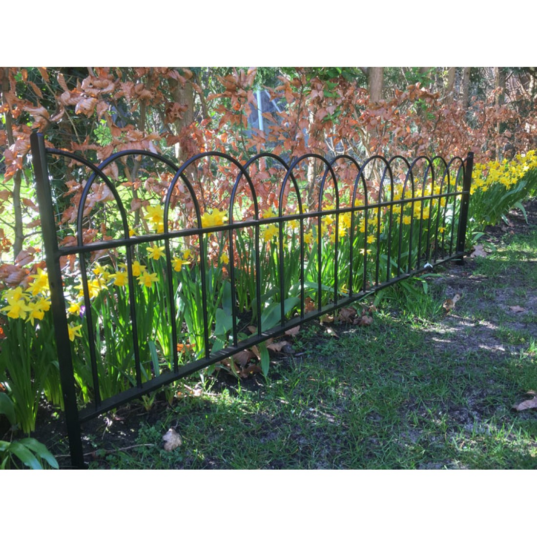 The Arnside Hoop Top Fencing Style 34